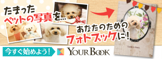 宝島社 YOUR BOOK（ユアブック）｜あなたが作る、あなたのためのフォトブック